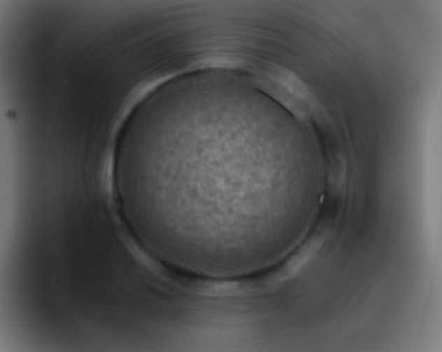 X0000093101030200710031826