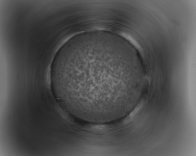 X0000093101031200710031826