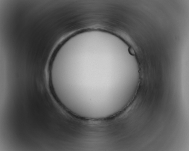 X0000093101032200710031826