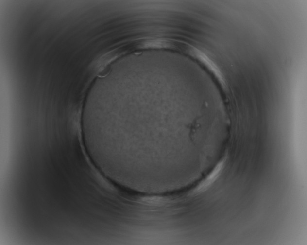 X0000093101033200710031826