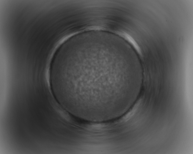 X0000093101035200710031826