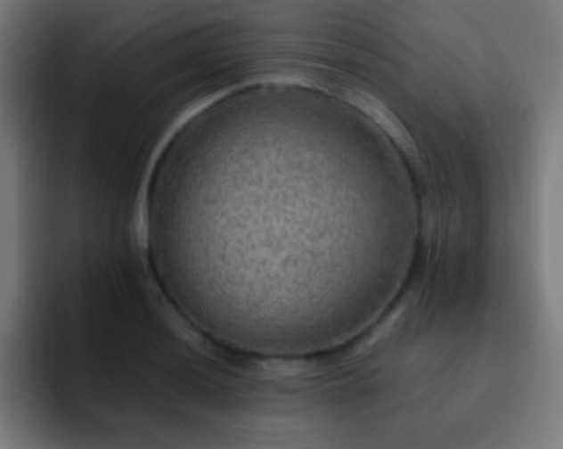 X0000093101036200710031826
