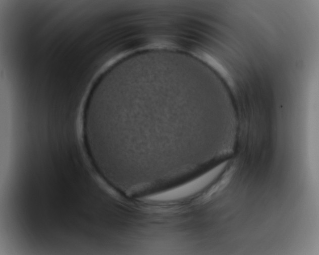 X0000093101037200710031826