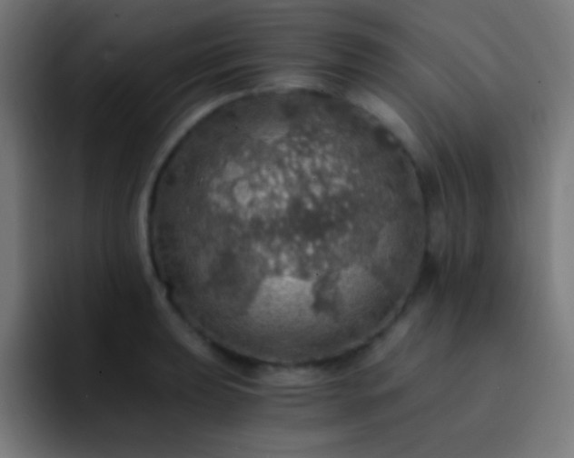 X0000093101039200710031826