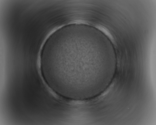 X0000093101040200710031826