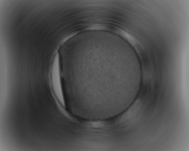 X0000093101041200710031826