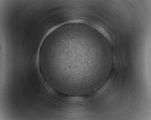 X0000093101044200710031826