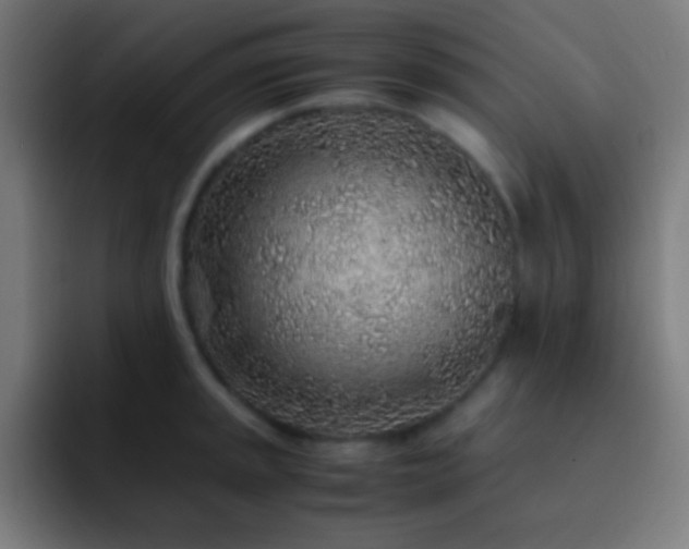 X0000093101045200710031826