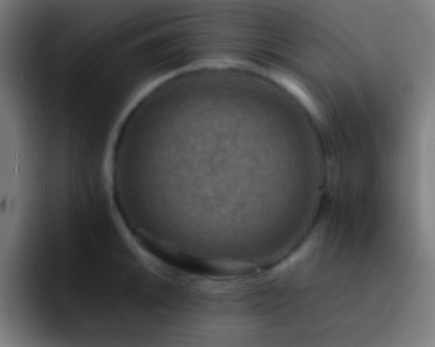 X0000093101046200710031826