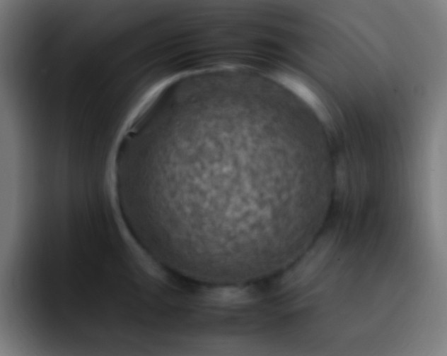 X0000093101047200710031826