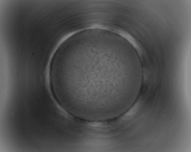 X0000093101048200710031826