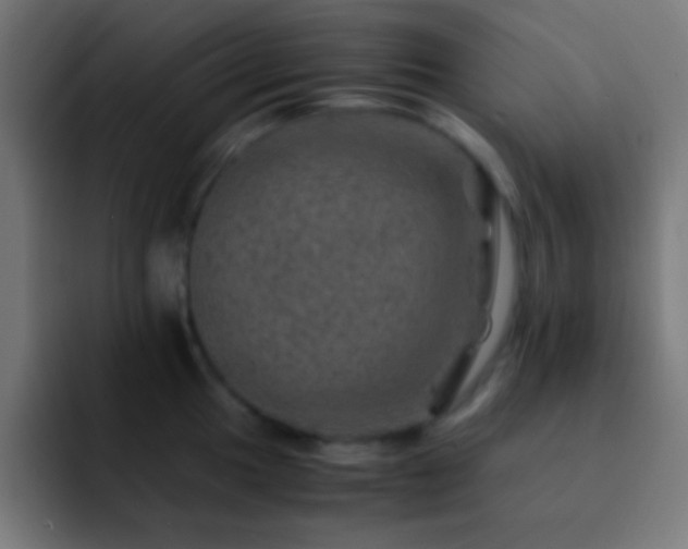 X0000093101049200710031826