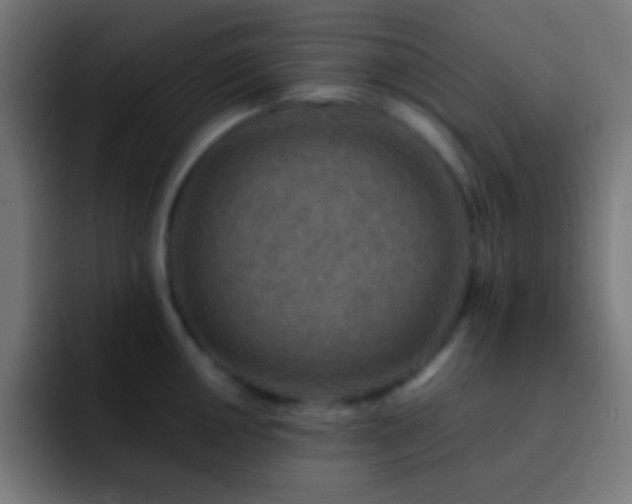 X0000093101050200710031826