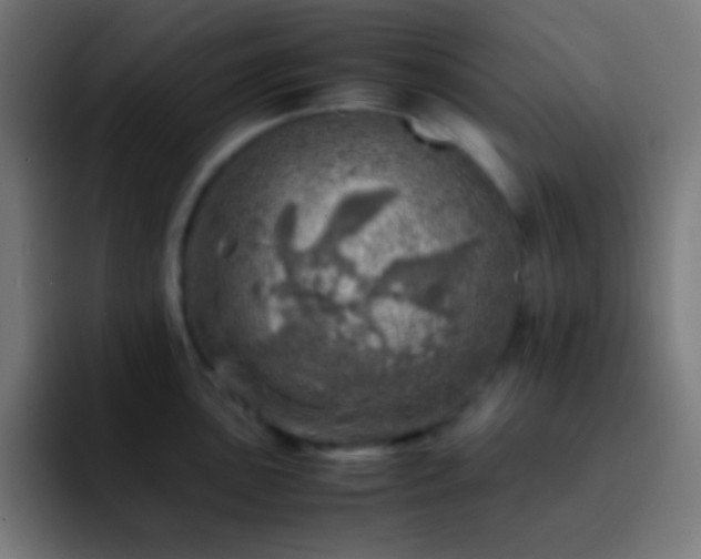 X0000093101051200710031826