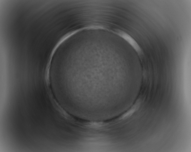 X0000093101052200710031826