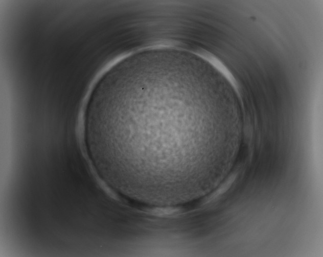 X0000093101053200710031826