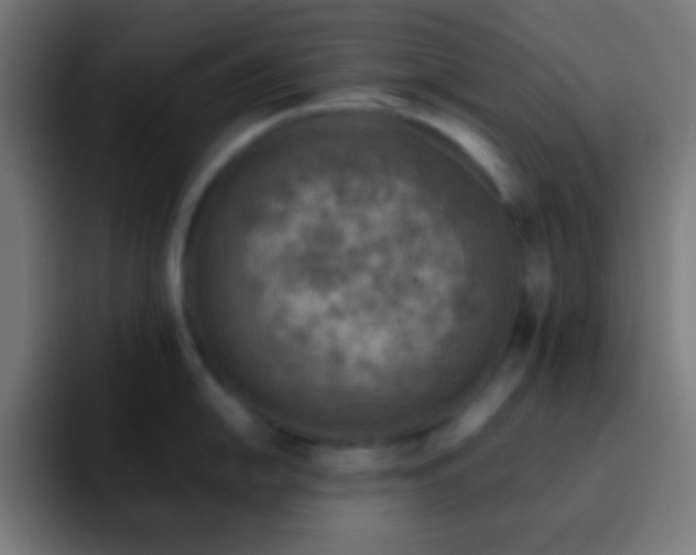 X0000093101054200710031826