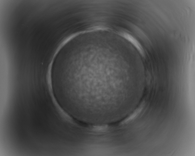 X0000093101055200710031826