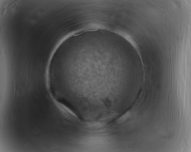 X0000093101056200710031826