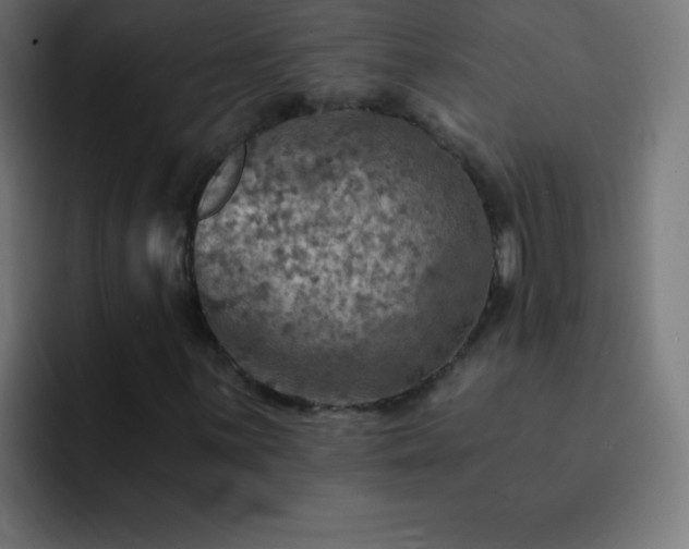 X0000093101059200710031826
