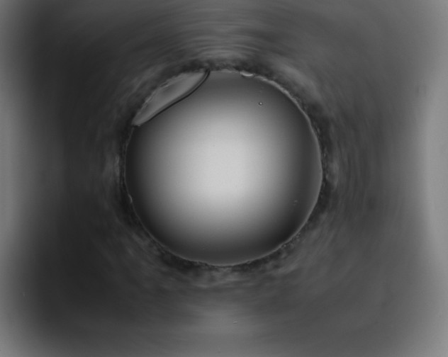 X0000093101061200710031826