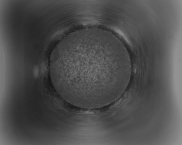 X0000093101063200710031826