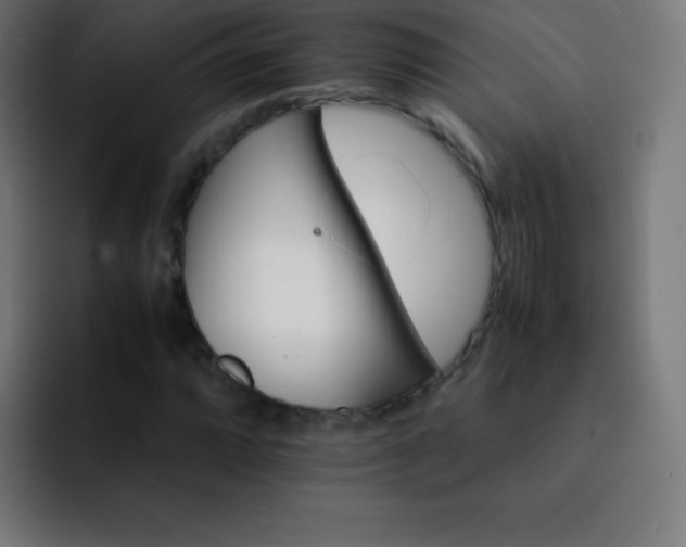 X0000093101064200710031826