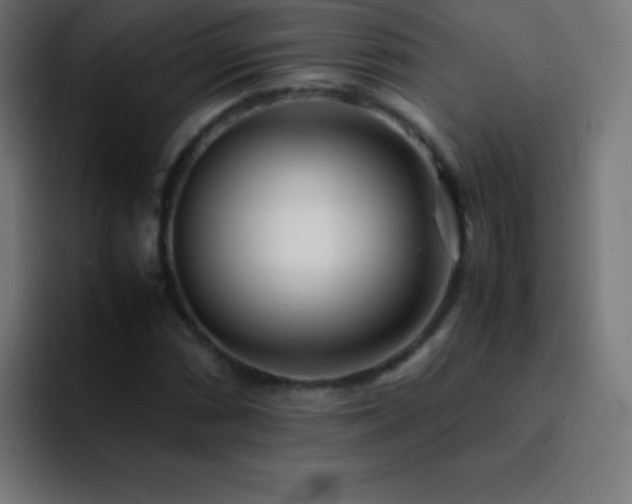 X0000093101066200710031826