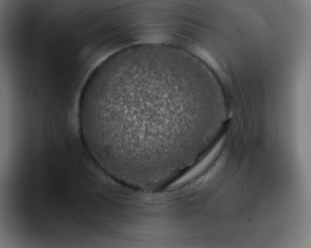 X0000093101071200710031826