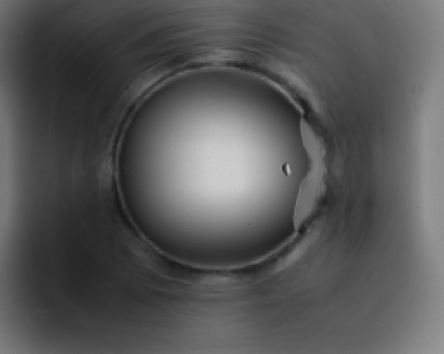 X0000093101073200710031826