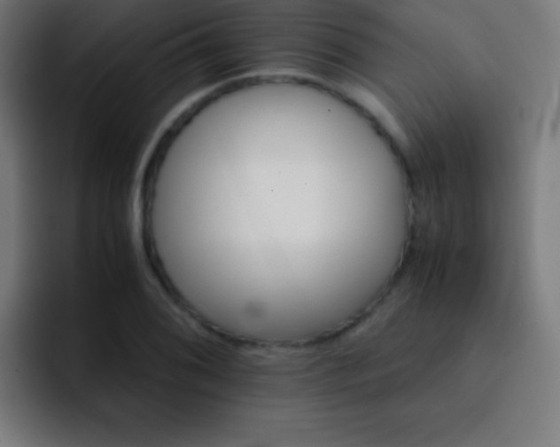 X0000093101076200710031825