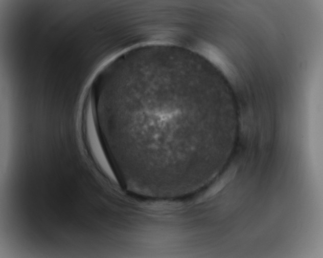 X0000093101077200710031825