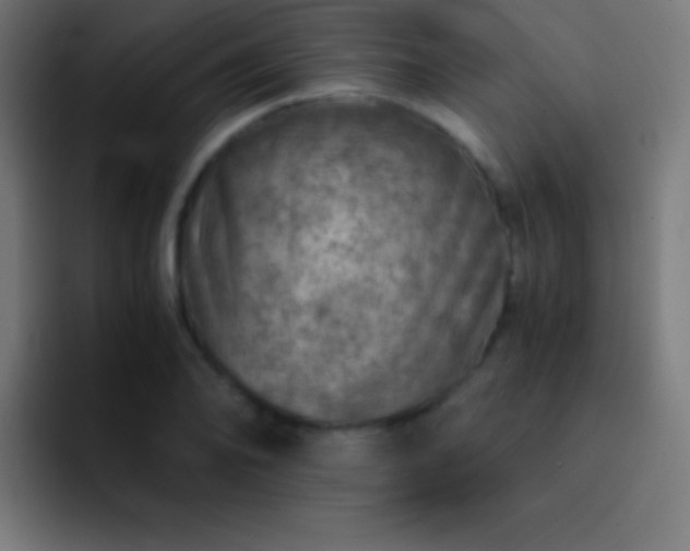 X0000093101078200710031825