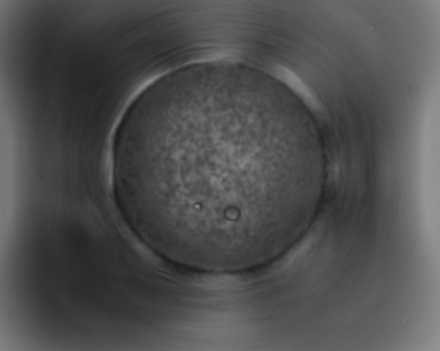 X0000093101079200710031825