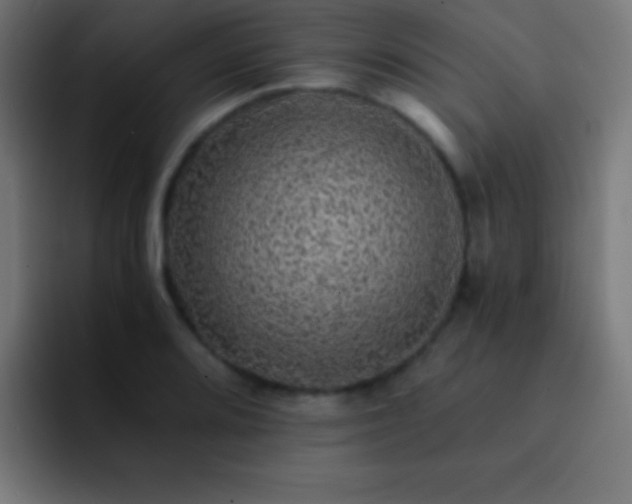 X0000093101080200710031825