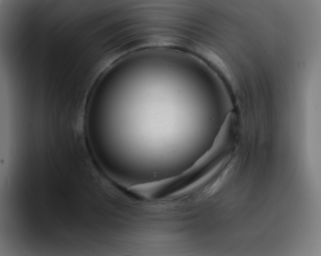 X0000093101081200710031825