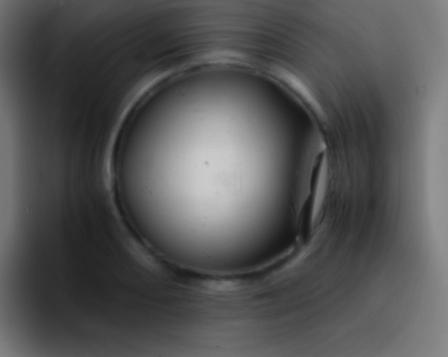 X0000093101082200710031825
