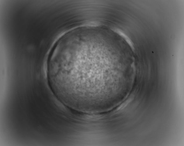 X0000093101083200710031825