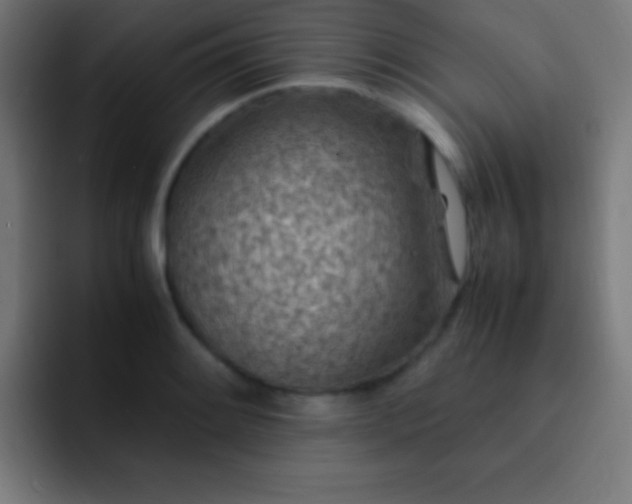 X0000093101084200710031825