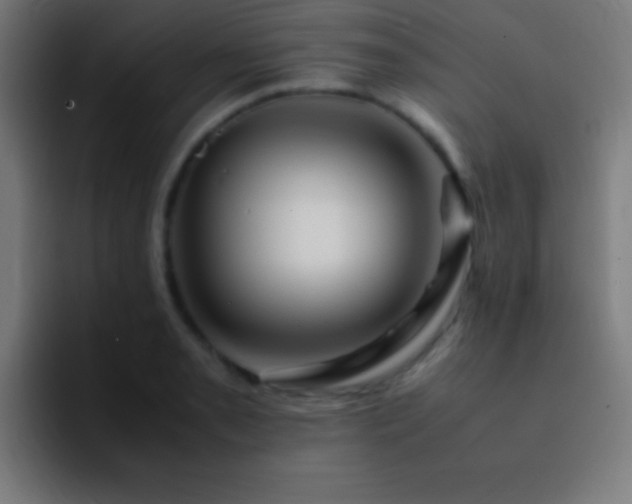 X0000093101085200710031825