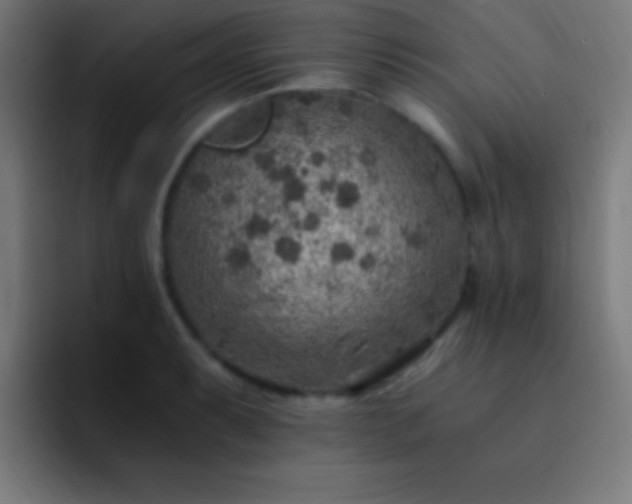 X0000093101087200710031825