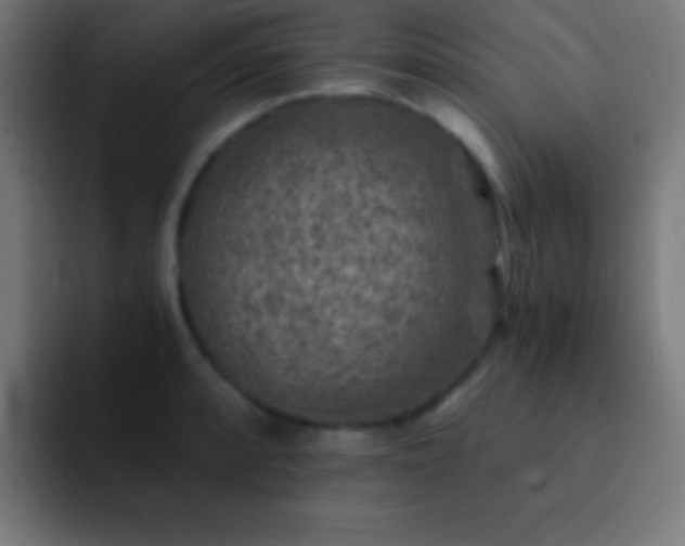 X0000093101088200710031825