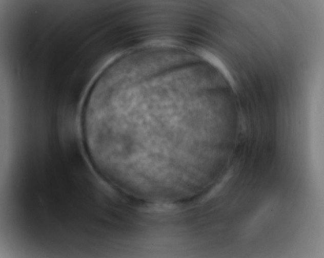 X0000093101090200710031825