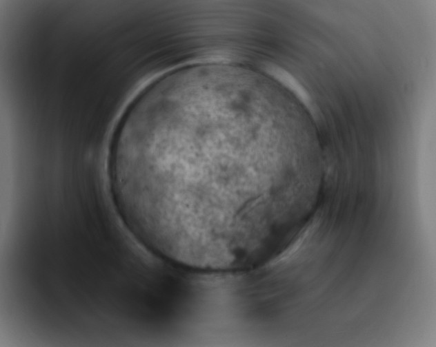 X0000093101091200710031825