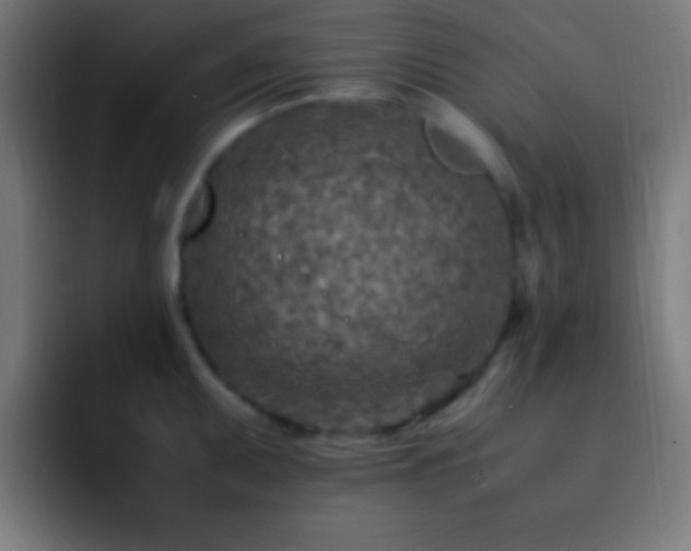 X0000093101095200710031825
