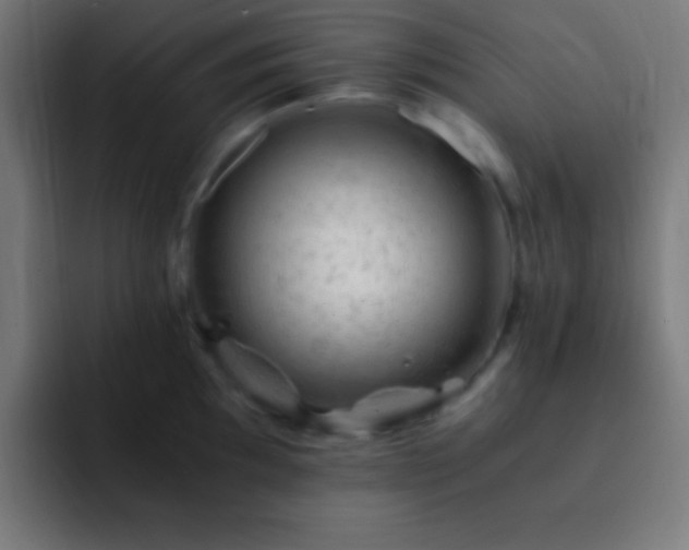 X0000093101097200710031825