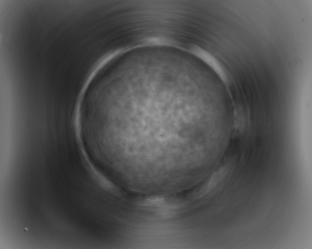 X0000093101098200710031825