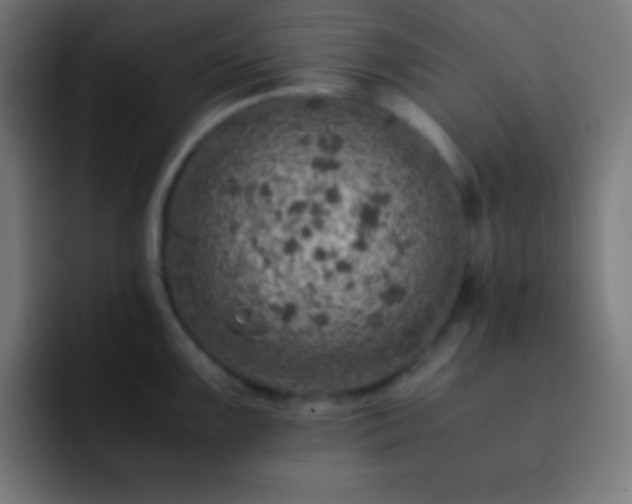 X0000093101099200710031825