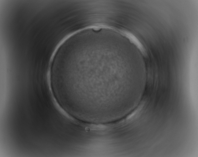 X0000093101100200710031825