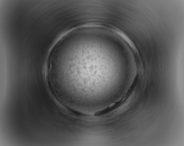 X0000093101101200710031825